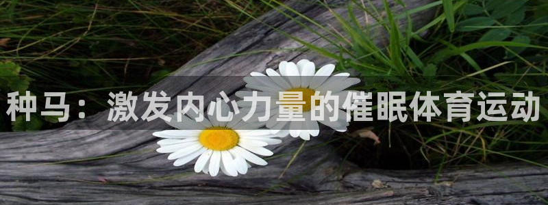 oety欧亿