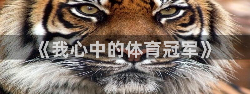 oety欧亿：《我心中的体育冠军》