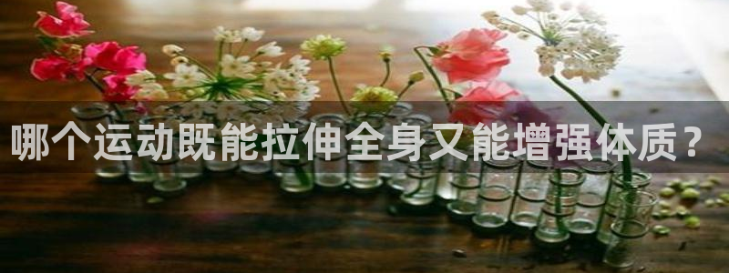 oety欧亿：哪个运动既能拉伸全身又能增强体质？