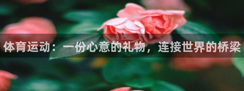 oety欧亿：体育运动：一份心意的礼物，连接世界的桥梁