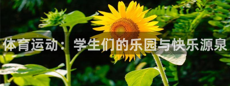 oety欧亿：体育运动：学生们的乐园与快乐源泉